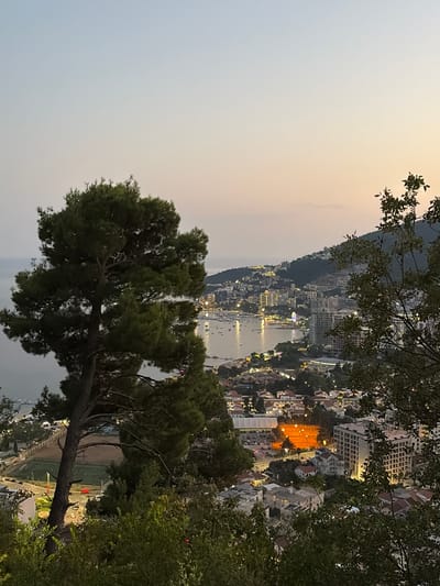 The image is a high-angle, wide-shot photograph of a coastal city at dusk. In the foreground, a large pine tree with dark green foliage dominates the left side of the frame, its trunk leaning to the left. To the right, a smaller tree with lighter green leaves partially obscures the view of the city.

The middle ground features a bay filled with numerous boats of various sizes. The city sprawls along the coastline and up the hillsides, with buildings illuminated by artificial lights. Prominent structures include hotels, residential buildings, and what appears to be a Ferris wheel lit up with colorful lights. A sports field with orange lighting is also visible.

The background shows a calm body of water, likely the Adriatic Sea, extending to the horizon. The sky transitions from a pale blue at the top to a soft orange and pink hue near the horizon, indicating sunset or twilight. The overall impression is a serene, urban landscape at the end of the day. The location is identified as Košljun, Montenegro. There are no discernible people in the image.
