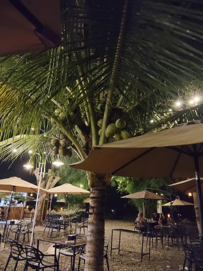 The image depicts an outdoor seating area at night, likely a cafe or restaurant, possibly located in Glokaron, Indonesia. A large palm tree with numerous green coconuts is prominently featured in the foreground, its fronds casting shadows. Several tables and chairs are arranged under large, tan-colored umbrellas, some of which are open. String lights are visible, illuminating the scene and adding a festive ambiance. In the background, a few people are seated at tables, engaged in conversation. The ground is covered in gravel. The overall atmosphere suggests a relaxed, tropical evening setting.