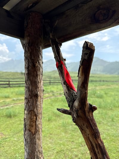 The image depicts a close-up view of wooden posts supporting a rustic overhead structure. The posts are rough, natural wood, with one on the left having a carved symbol. A branch, tied with a bright red ribbon, extends from the right post, reaching towards the left. In the background, a green grassy field stretches out, bordered by a wooden fence. Rolling, mist-covered hills are visible in the distance under a cloudy sky. The scene appears to be in a rural or natural setting.