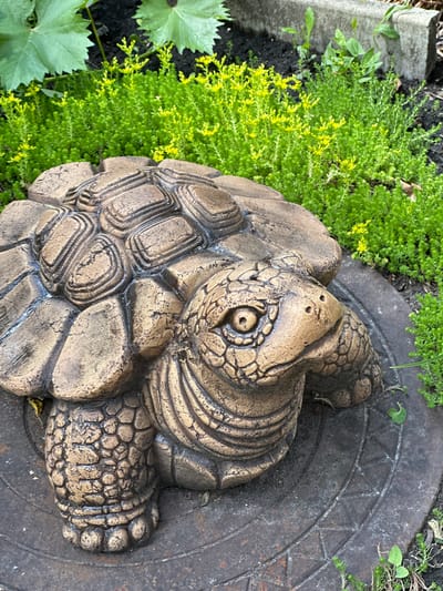 The image shows a close-up of a decorative garden sculpture of a tortoise. The sculpture is made of a bronze-colored material and is positioned on a circular metal surface with an etched pattern. The tortoise sculpture is detailed, with a textured shell and skin, and a distinct head with eyes, nostrils, and a mouth. It is surrounded by lush green ground cover plants, some of which have small yellow flowers. In the background, there are larger green leaves, dark soil, and a concrete structure. The scene appears to be outdoors in a garden or park setting. The image does not provide any information about the city of Oryol, Russia.