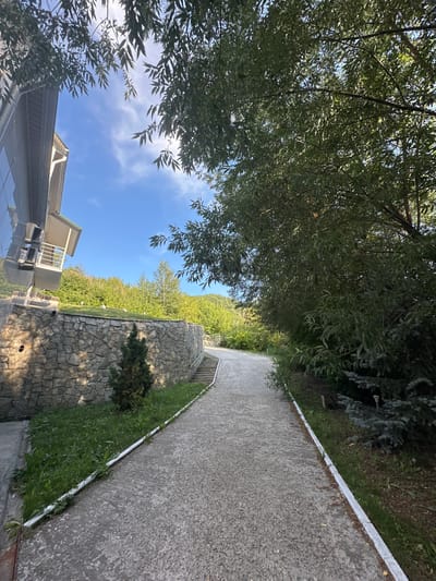 The image depicts an outdoor scene on a sunny day. A paved pathway curves through a naturalistic setting. To the left, a building with a modern facade, featuring large glass windows and a balcony, is visible. Adjacent to the building is a stone retaining wall topped with a grassy area and a small, conical evergreen tree. The pathway itself is made of concrete and is bordered by a white edge. On the right side of the pathway, dense foliage from large trees overhangs, with some evergreen branches visible closer to the path. In the background, a lush green landscape of trees and hills under a bright blue sky with scattered clouds can be seen. The overall impression is of a well-maintained outdoor area, possibly a park or the grounds of a resort or private residence. The location is identified as Danilovka, Altai Krai, Russia. No people are present in the image.