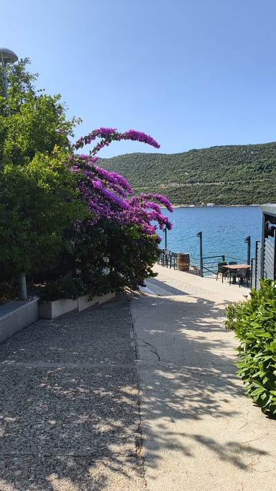This is a vertical, eye-level, full-shot photograph taken on a sunny day in Neum, Bosnia and Herzegovina. The foreground consists of a pathway made of concrete with a textured grey section on the left and a smoother, lighter concrete section on the right. The pathway is shaded with dappled shadows.

On the left side of the pathway, a large green bush is in bloom with vibrant purple bougainvillea flowers cascading downwards and outwards. Behind the bush, a lamppost with a modern, spherical light fixture is visible. To the left of the pathway and slightly behind the bush are grey concrete planters.

The middle ground features a waterfront area with a paved promenade. Several outdoor tables and chairs are set up on the promenade, some with umbrellas. A wooden barrel sits near some of the seating. The promenade is separated from the water by a black metal railing.

The background showcases the clear blue Adriatic Sea, where a few individuals are visible swimming or snorkeling. Beyond the sea, lush green, tree-covered hills rise, forming the coastline. The sky is a clear, cloudless blue. The overall scene depicts a serene coastal setting with a cafe or restaurant area adjacent to the sea, surrounded by natural beauty.