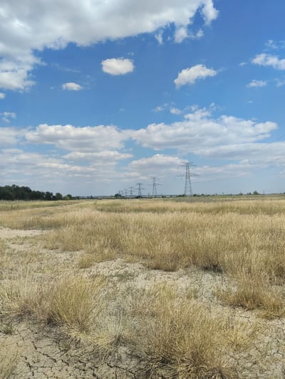This is a vertical, eye-level, full shot of a dry, grassy field under a bright, blue sky with scattered white clouds. The foreground is dominated by the dry, golden grass, with some patches of cracked, dry earth visible. In the middle ground, a line of tall, metal power pylons stretches across the landscape from right to left. To the far left, a dense line of dark green trees forms a boundary for the field. The background is a hazy, flat landscape with a few indistinct structures and more power pylons visible in the distance. The overall impression is one of a rural or semi-rural setting on a sunny day. This scene is located in the city of Bilyaivka, Ukraine.