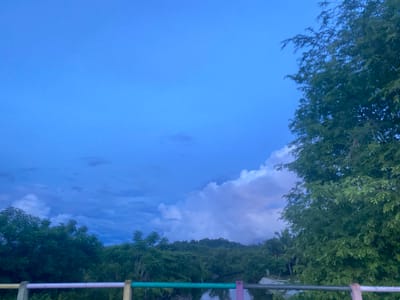 The image depicts a serene natural landscape under a twilight sky, likely taken from a vantage point overlooking a body of water. The sky transitions from a deep blue at the top to lighter shades near the horizon, with soft, wispy clouds interspersed with darker, more dramatic formations. A large, lush green tree dominates the right side of the frame, its foliage casting shadows. In the distance, a dense line of trees and vegetation forms a hilly backdrop, suggesting a rural or semi-rural environment. The foreground features a railing with segments of white, purple, and green, indicating a bridge, walkway, or balcony. Below the railing, a reflective surface, possibly water, mirrors the sky and surrounding greenery. The overall atmosphere is tranquil and slightly moody, characteristic of dusk. This scene is located in Lambaro Kueh, Indonesia.
