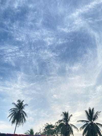 The image displays an expansive view of a bright, partly cloudy sky, largely dominated by shades of light blue and white. The photograph is oriented vertically, with the sky filling the majority of the left side and transitioning to a brighter, almost white hue towards the right. Wispy, streaky clouds, likely cirrus or cirrocumulus, are spread across the sky, creating intricate patterns that vary in density; they appear more prominent on the far left and gradually thin out towards the center and right.

Along the right edge and bottom right corner of the frame, three coconut palm trees are visible. These trees are largely silhouetted in dark green and black against the luminous sky, with their distinct fronds fanning out. Their presence strongly indicates a tropical or subtropical setting, which is consistent with the provided location context of Gampongaceh, Indonesia.

No people or specific activities are depicted in the scene, which captures a static, natural environment. The lighting suggests it is daytime, likely during the mid-day or afternoon, given the bright illumination from above. The weather appears clear with high-altitude clouds. No text is visible within the image. The overall impression conveyed by the scene is one of tranquility and natural beauty.