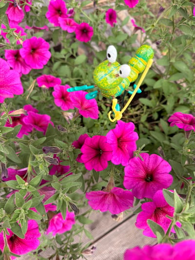 A close-up, high-angle outdoor shot features vibrant pink petunias and lush green foliage. A small, colorful ornamental insect, appearing to be a bee or caterpillar, with a bright green and yellow body, white googly eyes, and blue antenna-like appendages, is positioned amidst the flowers. The insect is the central focus of the upper portion of the image. The background consists of more blooming petunias and leaves, with a hint of a wooden deck visible at the bottom. The overall setting appears to be a garden or planted area. There are no people or animals present. The location of Sukhaya, Russia is not discernible from the visual information in the image.
