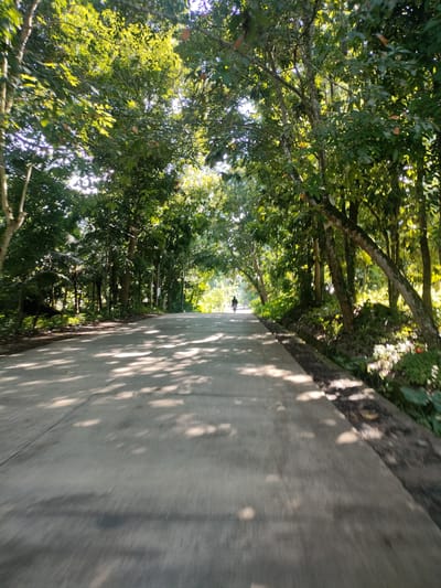 The image depicts a paved road lined with lush green trees and foliage. Sunlight filters through the dense canopy, casting dappled shadows across the road's surface. In the distance, a lone cyclist is visible, pedaling along the road. The scene appears to be a scenic route, possibly in a park or rural area, consistent with the environment found in Kidapawan City, Philippines, known for its verdant landscapes and natural beauty.