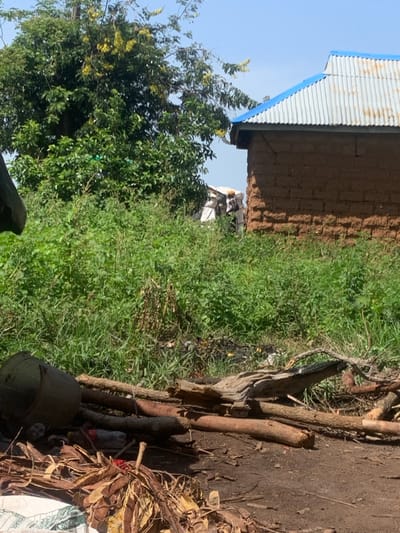 The image depicts an outdoor scene in Buga da Gindi, Nigeria. In the foreground, there is a pile of dried leaves, twigs, and branches, with a dark cylindrical object, possibly a bucket, lying on its side. A clear plastic bottle with some red liquid inside is also visible amongst the debris. Several pieces of wood are arranged horizontally in the mid-ground. Behind the wood, a dense patch of green vegetation, including tall grass and shrubs, extends across the frame. To the right, a building constructed from reddish-brown mud bricks with a corrugated metal roof, edged in blue, is partially visible. A large green tree with yellow flowers is on the left side of the image. In the background, beyond the vegetation, stacks of white materials are present, and the sky is a clear blue. The overall environment appears to be rural or semi-rural.