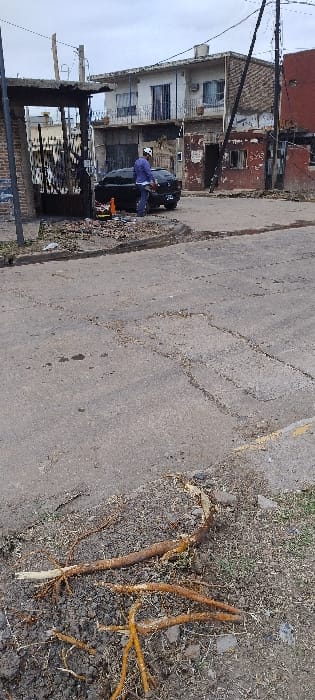 The image, originally rotated ninety degrees counter-clockwise, depicts a street scene in what appears to be a residential area in San Fernando, Argentina, during daytime under an overcast sky.

In the foreground, a cracked asphalt or concrete road occupies the majority of the frame. To the right, a patch of dirt ground is visible, where several prominent, thick, light brown to yellowish tree roots or large pieces of wood lie exposed.

Towards the left side of the frame, a dark-colored car, possibly an SUV or sedan, is parked parallel to the street. A person, dressed in a blue shirt and dark pants, is standing at the rear of the vehicle, leaning into its open trunk or cargo area, suggesting they are either loading, unloading, or attending to something inside.

In the background, behind the car and stretching across the left half of the image, are several multi-story residential buildings. Some of these structures show signs of age or wear, with peeling paint and weathered facades. Utility poles and overhead wires are also visible, particularly on the far left. The overall setting suggests a somewhat established, possibly older, neighborhood. No discernible text is visible within the image.