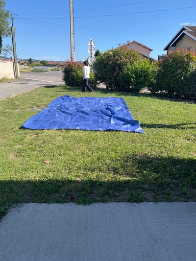 The image depicts an outdoor scene in Saint-Just-Saint-Rambert, France, under a clear, bright blue sky with direct sunlight, indicated by sharp shadows.

In the foreground, a light gray concrete sidewalk occupies the bottom portion of the frame. Directly above the sidewalk, a strip of green grass and weeds marks the edge of a lawn.

In the mid-ground, a large, rectangular blue tarp is spread across a significant area of a sunlit grassy lawn. The tarp exhibits multiple creases and folds. A small orange object, possibly a stake or anchor, is visible on the grass near the top right corner of the tarp. Another small, dark reddish object is visible underneath the tarp near its bottom right corner. The grass surrounding the tarp contains clover and various small weeds.

In the background, a paved road or an open asphalt area is visible. To the right of this road, a person is walking from right to left, away from the viewer. This individual wears a white short-sleeved top and dark trousers, with their head slightly turned to the left. Behind the person and along the road, a line of dense, green bushes with patches of reddish new growth is present. Further back, two utility poles stand prominently: a wooden pole on the left and a concrete pole on the right, both supporting multiple overhead lines traversing the sky. Near the concrete pole, two road signs are partially visible, including a triangular warning sign and a circular sign.

Beyond the immediate foreground and mid-ground, residential houses with light-colored walls and tiled roofs are visible under the clear sky. A structure with a light peach-colored wall is seen on the left. In the distant background, rolling hills with scattered buildings are discernible, and a patch of purple flowering plants (possibly lavender) is visible near the road.