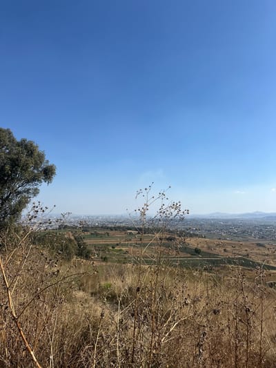 The image presents a view from a high vantage point. The sky takes up most of the frame, transitioning from a deep blue to a lighter shade near the horizon. A wide valley stretches out, with a mix of buildings and agricultural fields visible. The foreground features dry, brown vegetation, adding texture to the landscape. A small tree is situated at the bottom left.