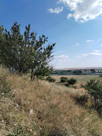 The image depicts a landscape scene in or around Bilousivka, Ukraine. In the foreground, a dense growth of dry, golden grass and some green vegetation covers a sloping terrain, with a large tree to the left. The middle ground features a body of water, likely a river, with a line of trees and cultivated fields along its banks. In the background, a distant horizon is visible, with rolling hills and a clear blue sky dotted with scattered white clouds. The overall impression is a tranquil, natural setting under bright daylight.