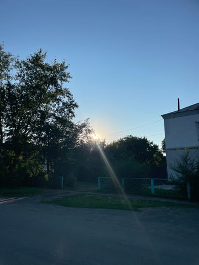 The image depicts a quiet, outdoor scene likely in the village district of Kishenekol, Kazakhstan, under a clear blue sky. The sun is low on the horizon, casting a bright glare and lens flare across the center of the frame, partially obscured by the dense foliage of a large tree on the left and a line of trees and bushes in the mid-ground. A light-colored building with a simple facade and a dark-colored chimney is visible on the right side of the image. In the foreground, a paved road or pathway leads towards the scene, with a patch of grass and a light blue, mesh-like fence running along the mid-ground. The overall impression is one of a rural or suburban residential area during either sunrise or sunset.