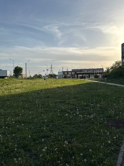 The image shows a landscape in Severnyi, Russia. A wide expanse of green grass with numerous dandelions fills the right half of the frame. The left half features a view of the sky, buildings, and infrastructure. In the distance, residential buildings are visible. Streetlights line the road, and power lines are also present. The sky is partly cloudy, with the sun illuminating the scene. There are no people visible in the image.