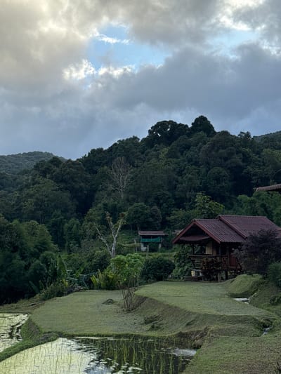 The image depicts a serene landscape in Ban Ang Ka Noi, Thailand, characterized by lush greenery and a temperate climate. In the foreground, flooded rice paddies with young rice plants are visible, reflecting the overcast sky. A terraced grassy area slopes down towards the paddies, with a small, open-sided wooden shelter situated on the higher ground, likely a resting spot or viewing platform.
Further back, a wooden house with a dark red tiled roof is nestled amongst the vegetation. This house appears to be part of a small dwelling or resort. In the mid-ground, another smaller structure with a green roof can be seen amidst the trees.
The background is dominated by a dense, verdant forest covering rolling hills, with the trees forming a thick canopy. The sky is cloudy, with patches of blue sky peeking through, suggesting a diffused light. The overall impression is one of natural beauty and tranquility, typical of rural Thailand. There are no people or animals visible in the image. The scene is static, with no apparent action.