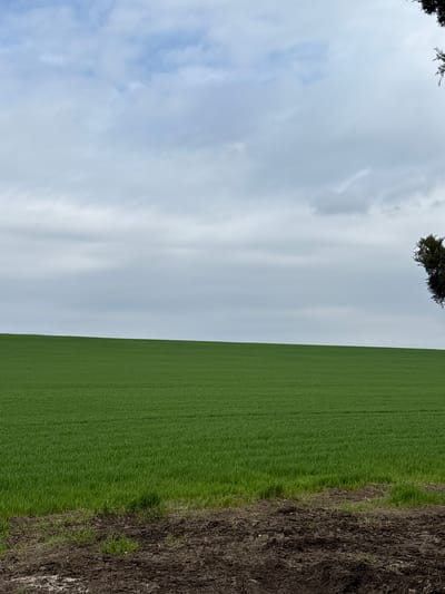 The image shows a field in Gradets, Bulgaria. To the left is a cloudy sky with hints of blue. To the right is a field of green crops, adjacent to a patch of dark, bare earth. A small portion of a tree is visible in the upper left.