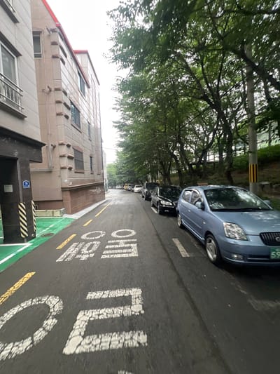 The image shows a street in Geoje-si, South Korea, with cars parked on the right side and buildings on the left. The street is wet, suggesting it has recently rained or is raining. White Korean characters are painted on the asphalt, indicating traffic regulations or parking information. The characters on the road are "주정차 금지", meaning "No Parking". A blue sedan is parked in the foreground on the right, and other cars are parked in a line further down the street. A building with a beige facade and red trim is visible on the left, with several windows. Trees line the right side of the street, forming a canopy overhead. The sky is overcast. A yellow and black striped pole is present on the right side of the road, and a blue sign with the number "36" is affixed to a dark column on the left.