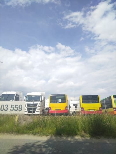 This is an eye-level, outdoor, vertical photograph taken in Sady, Poland. The scene shows a row of parked vehicles, including two white trucks and three buses, behind a wire fence and a wall. The trucks are positioned on the left side of the image. The first truck, on the far left, is mostly obscured by a white banner with dark numbers "03 559" printed on it. The second truck, labeled "MAN," is in the center. To the right of the trucks are three buses, two yellow with red accents and one green. The yellow buses have black roofs and are labeled "MAN." The green bus on the far right has "8032" printed on its side. The ground in front of the vehicles is covered with tall green grass and a large grey rock. The background consists of a blue sky with scattered white clouds.