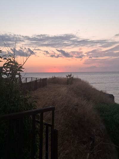 An overview captures a coastal sunset in Ahtopol, Bulgaria, with a gentle sea meeting a grassy cliffside. The sky transitions from a pale blue at the top to hues of pink and orange near the horizon, marked by scattered, wispy clouds. A dark metal railing runs across the foreground and to the left, partially obscuring dense, dark green foliage. Beyond the railing, dry, golden grass covers the ground, sloping towards the sea. A weathered, dark wooden fence runs horizontally along the cliff edge, curving slightly. The sea is calm, reflecting the sky's soft colors.