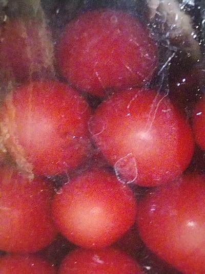 The image displays a dense cluster of approximately ten to twelve small, spherical fruits, dark red in color, consistent with cherries or similar berries. The objects are wet and appear to be contained within a translucent, textured material, possibly a plastic bag or container, which shows multiple small, irregular water droplets or condensation on its inner surface. Reflections of light sources are visible on the wet surfaces and the translucent barrier. Scattered white, fibrous strands and small white particles are present, particularly visible in the upper right portion of the frame, adhering to the fruits and the containing material. The background is dark and indistinct, emphasizing the red fruits. The scene is static and devoid of human presence or interaction. This imagery is presented as depicting items located within the city of Limbur, Uzbekistan.
