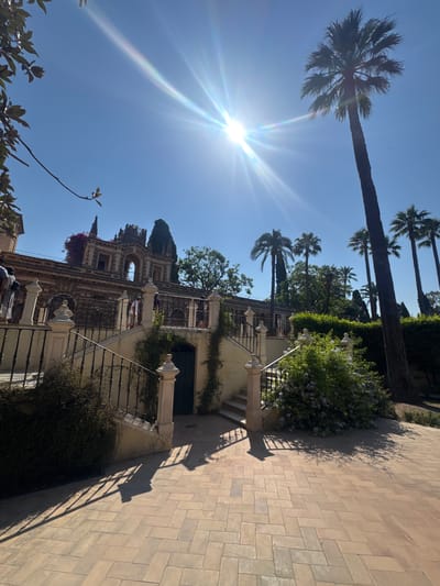 This image captures a sunny day in Seville, Spain. The scene is dominated by a vibrant blue sky with a bright sun shining down, casting lens flare and dramatic shadows. Tall palm trees frame the view, their fronds silhouetted against the sky, indicating a warm, tropical climate.
In the foreground, a paved walkway with a herringbone pattern leads up to an ornate stone building. This structure appears to be a historic palace or villa, with intricate architectural details including arched windows, decorative carvings, and wrought-iron railings. Lush green foliage and flowering plants climb the walls and spill over balconies, adding a touch of natural beauty to the architecture.
Several people are visible in the image, though their faces are not clearly discernible. They appear to be enjoying the outdoor space, some walking along the path, others gathered on balconies. The overall atmosphere is one of leisure and enjoyment, suggesting a popular tourist destination or a serene private residence. The sunlight and shadows create a dynamic visual effect, highlighting the textures of the stone and the vibrant greenery. The presence of palm trees and the architectural style are strong indicators of the location being Seville, Spain. The time of day appears to be mid-morning or early afternoon, given the intensity of the sun and the angle of the shadows.