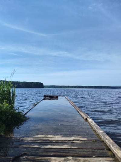 The image depicts a wooden pier extending into a calm body of water. The pier is partially submerged, with the water level reaching the top of the wooden planks in the foreground and mid-ground. To the left of the pier, tall green grass grows along the bank. The water stretches towards a distant treeline, which forms a dark, solid wall of green against the horizon. Above the treeline, a vast expanse of pale blue sky is visible, dotted with thin, wispy clouds. The overall scene suggests a serene natural setting, likely in a rural or undeveloped area. The location is identified as Заводоуспенское, Russia, implying a specific geographic context for this lakeside or riverside landscape.