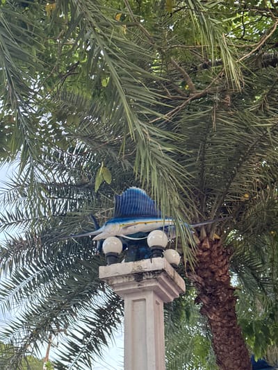 In Ban Klong Haeng, Thailand, a decorative sculpture of a blue and white sailfish is mounted atop a white stone pillar. The pillar is adorned with three globe-shaped lights, two of which are visible. The sailfish sculpture is positioned prominently, its fin raised. The entire scene is framed by the lush green fronds of a palm tree.