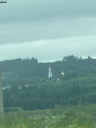 This image, captured in Можга, Russia, depicts a serene landscape dominated by lush green trees that blanket a hillside. The sky is overcast, suggesting a cloudy day, with soft, diffused light illuminating the scene. In the mid-ground, nestled amongst the trees, are two prominent structures that appear to be religious buildings. The first, closer to the foreground, is a white building with a golden spire, reminiscent of a church or chapel. The second, slightly further back and to the left, is a smaller golden dome, also indicative of a religious edifice. The overall impression is one of tranquility and natural beauty, with the man-made structures adding a touch of cultural significance to the picturesque setting. No people or specific activities are discernible in the image. The image is oriented vertically, with the sky occupying the left side and the landscape the right.