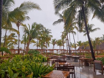 The scene depicts an unoccupied outdoor dining area situated in a tropical environment, specifically located in the city of Zanzibar, Tanzania. Numerous palm trees with green fronds populate the entire background and upper frame, set against an overcast sky. In the mid-ground, a series of wooden pergola structures with latticed tops are visible, extending horizontally across the frame. The foreground contains dense green tropical foliage. The dining area comprises multiple empty square and round tables, alongside various chairs, including wooden and upholstered designs. The surfaces of the wooden tables and the paved ground are visibly wet, indicating recent precipitation. A building with a distinct thatched roof is partially visible in the distant mid-ground to the right. No individuals or discernible activities are present.