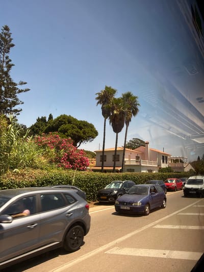 The image captures a street scene in Vélez-Málaga, Spain, on a sunny day. In the foreground, a silver SUV is seen from its side, with a person's arm resting on the open window. The vehicle is on a paved road with white lane markings. To the right, several other cars are driving on the same road, including a blue hatchback, a red sedan, a black SUV, and a white van. Behind the cars, a dense hedge runs along the side of the road, interspersed with flowering pink bushes and tall green vegetation. Beyond the hedge, a two-story white house with an orange tiled roof is visible, featuring a balcony and windows. Several palm trees, some tall and slender, others with broader fronds, are scattered throughout the landscape, with a large evergreen tree also present. The sky is clear and blue. Reflections are visible on the right side of the image, suggesting it was taken from inside a vehicle.