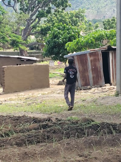 The image depicts a scene in Kabwir, Nigeria, with a young person in a black t-shirt and grey pants standing in a garden. The person is leaning forward, facing away from the camera, with their right hand extended. The t-shirt has a graphic of what appears to be an animal or creature with horns. The garden features rows of young green plants growing in dark soil.

In the background, there is a rustic structure with a corrugated metal roof and walls made of stone and possibly mud. Next to it is another smaller structure with mud walls. A large tree with dense green foliage is prominent to the left of the frame, with its branches spreading wide. Beyond the structures and the tree, a lush green hillside is visible, suggesting a rural or semi-rural setting.

The lighting suggests it is daytime, possibly late morning or early afternoon, with bright natural light. The overall impression is one of agricultural activity and simple living. The scene is vertical, as if the camera was tilted. There is no obvious indication of emotion from the person depicted.