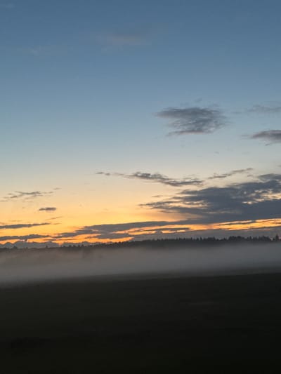 The image depicts a serene, atmospheric landscape at dusk. The sky transitions from a pale blue at the top to a soft orange hue near the horizon, with scattered clouds of varying gray tones. A dense line of trees forms a dark silhouette against the sunset, bordering a mist-shrouded field. The mist creates a soft, ethereal layer that partially obscures the foreground, which appears to be a dark, undefined expanse, possibly a field or meadow. The overall impression is one of calm and tranquility as day transitions into night. There are no people or specific landmarks to suggest the location within Yegoryevsk, Russia.