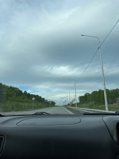 The image is a first-person perspective from inside a vehicle, looking out through the windshield at a rural road. The sky is overcast with heavy gray clouds, with a small patch of blue sky visible in the distance. On either side of the road are dense green trees and foliage. Several streetlights are visible along the road, spaced at intervals. A guardrail runs along the right side of the road. The road itself is paved and appears to be a two-lane highway. In the foreground, the dashboard of the vehicle is visible, with the text "SRS AIRBAG" embossed on it. The location is identified as being in the city of Svetly, Russia.