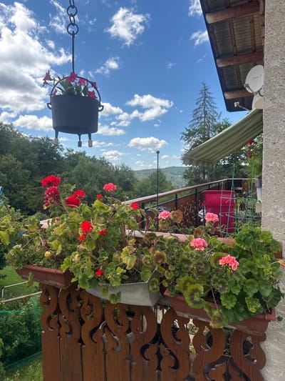 The image depicts a view from a balcony in Les Rousses, France, on a bright, cloudy day. The balcony is adorned with several planters overflowing with vibrant red and pink geraniums, along with other lush green foliage. A decorative wooden railing, featuring intricate cut-out patterns, lines the front of the balcony.
In the foreground, a dark, cast-iron pot, suspended by a chain from above, contains a small cluster of pink flowers. Beyond the balcony, a panoramic view unfolds, showcasing a dense forest of green trees covering rolling hills. In the distance, a tall, slender pine tree stands out against the bright blue sky, punctuated by fluffy white clouds. To the right of the frame, a segment of a building's roof and an exterior wall are visible. A striped green awning extends over a portion of the balcony, and a satellite dish is mounted on the wall. The overall scene conveys a sense of natural beauty and tranquil outdoor living.