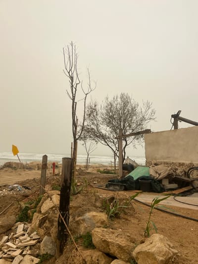 The image captures a coastal landscape in Jisr az-Zarqa, Israel, under a uniformly pale, hazy sky. The foreground features uneven, sandy-brown earth interspersed with numerous light-colored rocks and sparse green ground vegetation, including several small aloe vera plants. Two weathered, dark wooden posts stand vertically in the left-center foreground; the taller post shows significant dark staining or charring. To the immediate left of these posts, a pile of fractured white ceramic or stone debris is visible.
In the mid-ground, a red fire hydrant is positioned behind the wooden posts. Further back, a rough beachfront composed of sand and rocks slopes towards a moderately turbulent sea, characterized by white breaking waves. A yellow, triangular marker on a pole is situated near the water's edge on the left. The central mid-ground is occupied by three prominent trees: two tall, slender, bare-branched trees, possibly recently pruned or dead, stand adjacent to a shorter, bushier tree with dense, small leaves. Several smaller saplings with support stakes are also planted.
To the right, a partially constructed or dilapidated concrete structure with a textured, light-colored wall is present. Adjacent to and behind this structure is an accumulation of miscellaneous items, including a large green tarp, other bundled fabric or canvas materials, black plastic buckets and containers, a metal tray, coiled black hoses or cables, and scattered wooden planks. A rudimentary wooden framework, consisting of a horizontal beam supported by a vertical post, extends from the concrete structure. Another dark wooden beam, possibly a winch component or antenna, protrudes upwards from behind the building. The background consists solely of the hazy sea meeting the featureless, light-beige sky. No individuals are present in the scene.