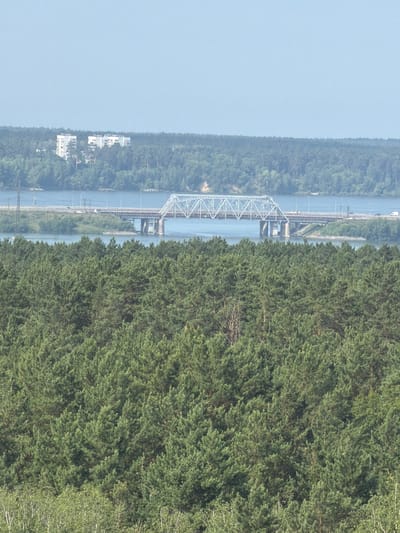 The image depicts a wide shot of the city of Berdsk, Russia, on a clear day. In the foreground, a dense forest of green coniferous trees fills the lower portion of the frame. Beyond the forest, a wide river is visible, with a large, multi-span bridge crossing it in the middle ground. The bridge appears to be a railway bridge, with intricate metal truss work. A second, lower bridge, likely a road bridge, runs parallel to the railway bridge. In the distance, on the far bank of the river, several white buildings, possibly apartment blocks, are nestled amongst more trees. The sky is a pale blue and cloudless. The overall scene is one of natural beauty integrated with urban infrastructure.