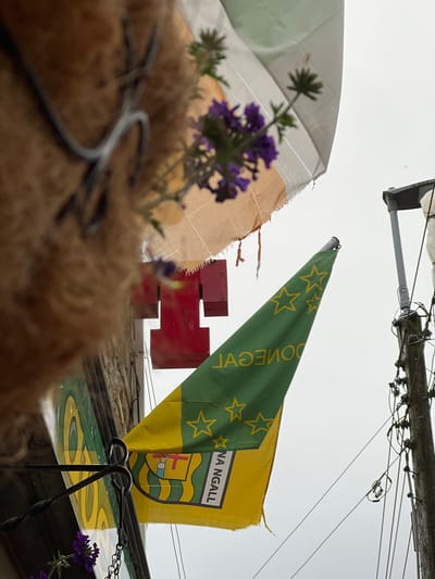 This image depicts a close-up, low-angle view of a flag and a basket of greenery, set against an overcast sky. The flag is a prominent feature, divided into two sections. The upper section is green with yellow stars, and the word "DONEGAL" is visible in white lettering, oriented to be read from right to left. Below this, the flag transitions to yellow, featuring a shield with green and yellow stripes, a red cross, and a blue wave-like element. The text "NA NGALL" is visible in black lettering on a white band above the shield.
To the left of the flag, a white and tan material, possibly part of a sail or awning, is visible, tattered at the edges. In the foreground, a basket filled with coir and topped with a sprig of purple flowers and greenery is out of focus, along with dark, twisted metal elements. In the background, red, block-like structures are partially visible, as are overhead wires and a wooden pole.
The lighting suggests an overcast day, likely morning or afternoon, with no direct sunlight. The overall scene has an outdoor, slightly weathered feel. While the location is identified as Mountcharles, Ireland, the visual cues themselves don't offer specific details about this particular location. No people are visible in the frame, and the focus is on the objects and the flag.