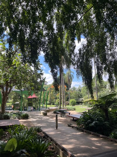 The image, correctly oriented, displays a sunny outdoor park or botanical garden scene in Brisbane City, Australia. The foreground is dominated by the dense, dark green canopy of large trees, through which patches of bright blue sky with scattered white clouds are visible.

In the midground, several tall palm trees with slender trunks punctuate the landscape, some appearing to have reddish-orange blooms or fruit. Below them, a modern playground area is evident, characterized by green arched support structures, various play elements, and a small red sun-shade canopy. At least two small figures, likely children, can be seen engaged in play within the playground.

To the right, a wide paved pathway stretches through the park, bordered by lush garden beds featuring ferns and other tropical foliage. Several picnic tables and benches, constructed from wood and concrete, are strategically placed along the path, providing areas for visitors to relax. The background consists of more abundant greenery and trees, suggesting a spacious and well-vegetated environment.

The bright sunlight and the presence of shadows indicate it is daytime, likely morning or early afternoon. The scene evokes a sense of peace, leisure, and recreational activity within a verdant, tropical setting. There is no visible text in the image.