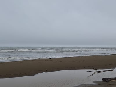 This is a wide shot of a beach with choppy, gray waves under an overcast sky. The sand is dark brown and appears wet in places, with a large puddle reflecting the sky in the foreground. Several pieces of driftwood are visible on the sand and in the water. There are no people in the image. The image appears to be taken on a beach in Uglegorsk, Russia, as suggested by the prompt.
