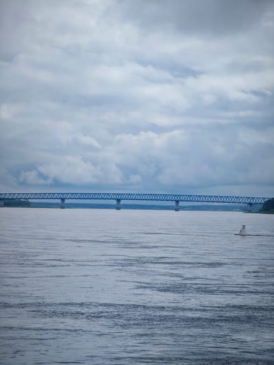 The image shows a wide, calm river under an overcast sky. A long, blue metal truss bridge spans the river horizontally in the middle ground. On the right side of the river, in the foreground, a white buoy with a reflective band is partially visible. The background consists of a distant treeline and a hazy sky filled with gray clouds. There are no people or animals visible in the scene. The location is likely the river near the city of Vygorsky, Russia, given the presence of a railway bridge, which are common in such industrial regions.