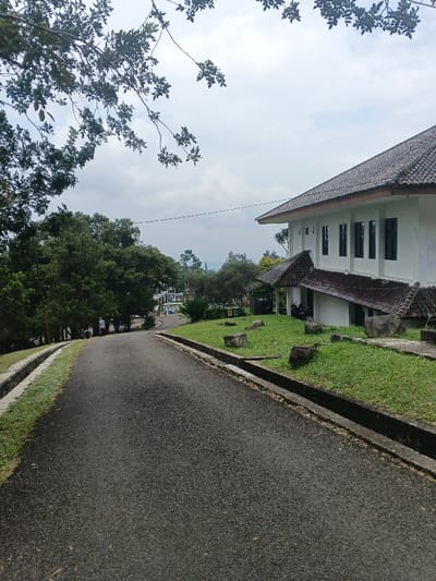 A road stretches forward, lined with grass and a white building with a tiled roof on the right. Trees border the left side of the road. In the distance, a structure is visible, perhaps a building under construction. The sky is overcast, with tree branches and leaves in the upper portion of the image.