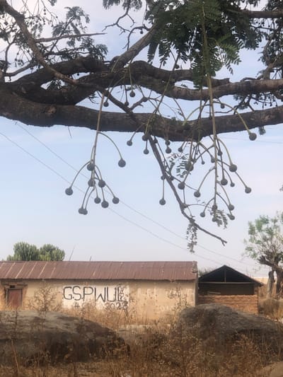 The image captures an outdoor scene in Mangu Halle, Nigeria, under daylight conditions. A large, mature tree occupies the upper half of the frame, its dark, gnarled branches extending broadly. Numerous pendulous stems hang from the branches, each terminating in a dark, spherical fruit or pod. Smaller clusters of green foliage are also visible on the tree. Utility lines are visible traversing the pale blue sky horizontally, positioned behind some of the tree's hanging elements.
In the midground, a single-story building with light-colored, possibly stucco or plaster, walls and a reddish-brown corrugated metal roof is prominent. The white block letters "G.S.P.W.U.L." are spray-painted on its facade, with a partially visible date "2023" below. A simple wooden door is located on the left side of this building. To its right, a smaller, open-front structure made of stacked mud bricks with a dark, sloped roof is visible. The ground in the foreground is covered with dry, sparse, light brown vegetation and several large, irregular grey rocks. No individuals are present, and no actions or interactions are depicted.