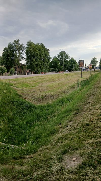 The image depicts a scene along a road in Jelgava, Latvia, with a focus on the grassy embankment. The perspective is from ground level, looking up and to the side, with the horizon line roughly in the upper middle of the frame.
The foreground is dominated by a steep grassy slope, transitioning from lush green grass at the bottom to drier, sparser grass and earth towards the top. This slope has a noticeable ridged texture, suggesting it may have been recently mowed or is naturally uneven.
Beyond the embankment, a road runs parallel to it. Several cars are visible on the road, indicating ongoing traffic. Along the roadside, there are trees providing shade and a few buildings, some appearing to be of brick construction. Signs are also visible, including what looks like a billboard with text that is too small to read clearly. Streetlights are present along the road.
The sky is overcast with a light, diffused cloud cover, suggesting it is daytime, likely morning or afternoon, under cloudy weather conditions. The overall impression is a typical roadside view in a semi-urban or suburban setting. There are no prominent human figures visible, and the scene appears calm and everyday. The time of day appears to be during daylight hours, with the overcast sky suggesting a lack of direct sunlight.
