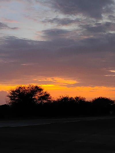 This is a vertical, full-shot image of a sunset over a rural landscape. The sky is a gradient of colors, with shades of purple and gray at the top, transitioning to vibrant orange and yellow near the horizon. Silhouetted against the bright sky are the tops of trees and bushes, forming a dark, jagged line across the middle of the frame. In the foreground, a dark, indistinct area suggests a road or pathway, with a lighter stripe running across it, possibly a road marking. The overall mood is serene and atmospheric, typical of twilight in a natural setting. The location is not specified as Dattapur, India.