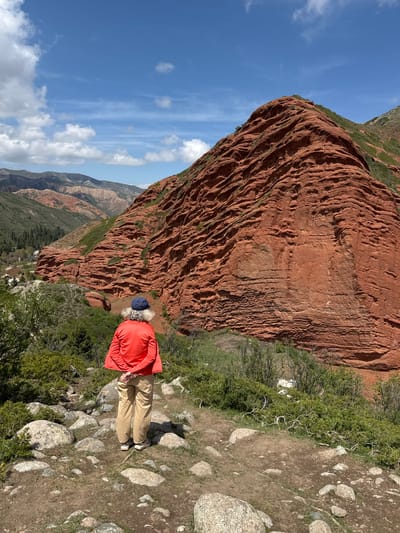 This vertical image, depicting a landscape in Jeti-Ögüz, Kyrgyzstan, features a person standing on a rocky path, observing dramatic red rock formations. The individual, viewed from behind, has light-colored hair and is wearing a dark blue cap, a bright orange long-sleeved top, and light tan pants with light-colored athletic shoes. Their hands are clasped behind their back, suggesting a contemplative or relaxed posture.
The immediate foreground shows a rugged, earthy path interspersed with numerous gray and white rocks and patches of green, shrubby vegetation. Dominating the left side of the mid-ground are magnificent, towering red sandstone cliffs, characteristic of the Jeti-Ögüz region. These formations display intricate erosion patterns, with deep grooves and layers that highlight their rich, reddish-brown hues. Green foliage clings to parts of the rock faces and at their bases.
In the background, a clear blue sky with scattered white, wispy clouds extends above the horizon. Beyond the prominent red rocks, a panorama of distant, hazy mountains stretches across the landscape, indicating a vast, expansive natural environment.
The activity depicted is likely hiking or sightseeing, with the person taking a moment to appreciate the scenic vista. The time of day is clearly daytime, under bright natural light, suggesting pleasant weather conditions. The overall atmosphere conveys a sense of awe and tranquility inspired by the grandeur of nature. No visible text is present in the image.