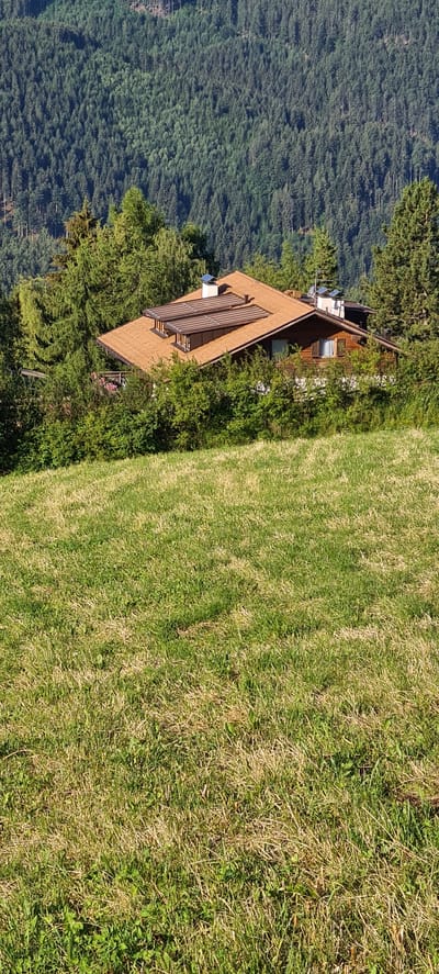The image depicts a house nestled amongst trees on a hillside in Deutschnofen - Nova Ponente, Italy. The foreground is dominated by a grassy slope, showing patches of both green and dry grass. The house, constructed of wood with a prominent brown tiled roof, is partially obscured by dense green foliage. Several solar panels are visible on the roof, alongside chimneys. The background features a vast, dense forest of evergreen trees covering a mountain slope. The scene is illuminated by natural daylight, suggesting it was taken during the day. There are no people or animals visible in the image.