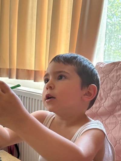 A close-up, indoor portrait shot depicts a young child with short dark hair and dark eyes, seated in a room in Barakovo, Bulgaria. The child, wearing a light-colored sleeveless undershirt, is positioned slightly off-center, facing forward but looking upwards and to the left with a partially open mouth, indicative of observation or engagement. The child's left hand is visible in the lower left quadrant, holding a slender green object. In the background, to the child's left, a white horizontal radiator is situated below a window. Above this, vertical beige and brown curtains with a darker horizontal trim are visible. To the child's right, a window reveals blurred green foliage outdoors, and a pink, diamond-quilted chair back is present. Natural light illuminates the scene, originating from the window.
