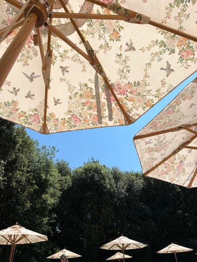 This media file depicts a collection of outdoor umbrellas adorned with a delicate floral and bird pattern, set against a clear blue sky and lush green trees. The umbrellas are angled upwards, with their wooden frames and fabric canopies visible from a low-angle perspective. The fabric features a cream background with an intricate design of roses, peonies, and various smaller flowers in shades of pink, peach, cream, and green. Small, stylized birds in flight are interspersed among the floral motifs.

In the foreground, the underside of two large umbrellas is prominently displayed. One is almost entirely visible, showing its supporting ribs and central pole. To its right, a portion of another similar umbrella is visible. In the background, to the right of the frame, several more umbrellas are partially visible, also angled upwards and appearing smaller due to distance. These background umbrellas are set against a backdrop of dense, dark green foliage, suggesting a shaded area or a grove of trees.

The overall impression is one of a bright, sunny day, likely outdoors in a garden or outdoor seating area. The clear blue sky indicates fair weather. The location context of Fiumicino, Italy, combined with the style of the umbrellas, could suggest a setting at a restaurant, cafe, or resort. The image has a peaceful and serene quality, with the open umbrellas providing a sense of shelter and outdoor leisure. There is no visible text in the image.