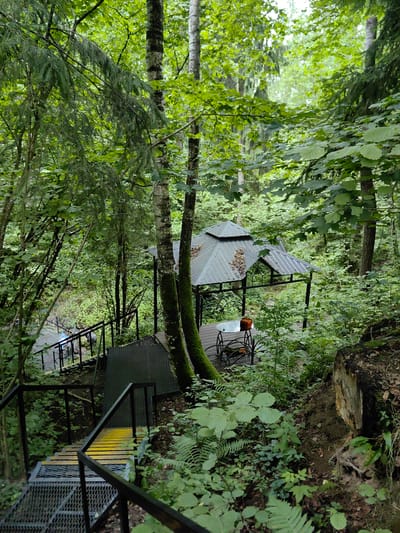 This image captures a serene outdoor scene within a dense forest, likely located in the Дзямідавіцкі сельскі Савет, Belarus. A metal staircase with yellow anti-slip strips descends into the foreground, leading to a wooden platform that appears to be a pathway. This platform extends towards a gazebo with a dark grey, multi-tiered roof. Inside the gazebo, a glass-topped table with a black metal frame and chairs is visible, suggesting a resting or gathering area. The surrounding environment is lush and green, with numerous trees, foliage, and undergrowth characteristic of a forest ecosystem. Sunlight filters through the dense canopy, creating a dappled effect on the forest floor and structures. The overall impression is one of a secluded natural setting, possibly a park or recreational area, integrated within the woodland.