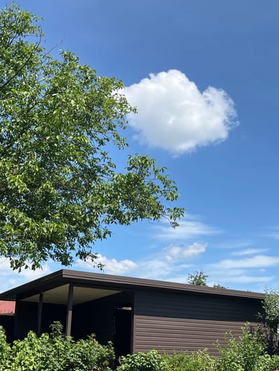 The image depicts a sunny day with a clear blue sky and scattered white clouds. In the foreground, lush green foliage and bushes are visible, bordering a dark brown, modern-style building with a covered porch. The building appears to be a residential or utility structure. To the left of the frame, a large tree with vibrant green leaves extends into the upper portion of the image. The scene suggests an outdoor setting in a rural or suburban area. No people are present in the image. The location is identified as Koroviia, Ukraine.